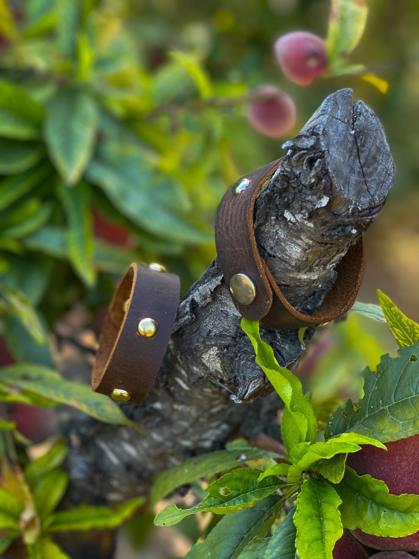 Studded Leather Bracelet